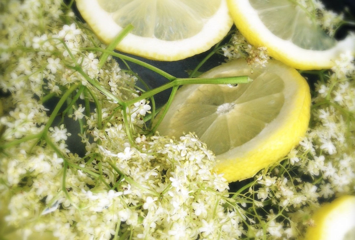 Limonade van Vlierbloesem