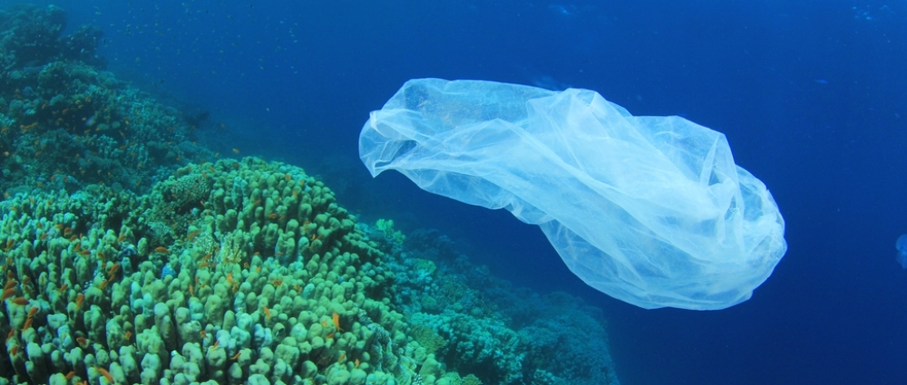 Plastic tasje? Nee bedankt!